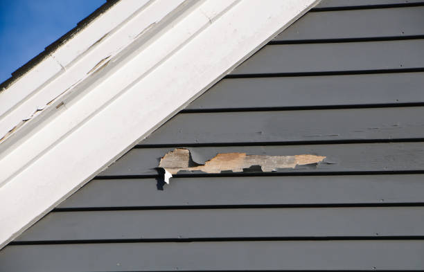 Professional Siding Services in Flower Mound, TX